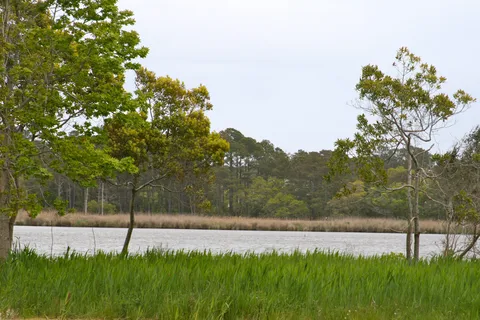 OBX Campground