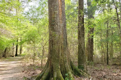 Tickfaw State Park