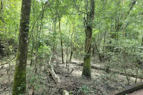 Tickfaw State Park