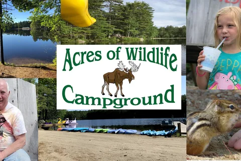 Acres Of Wildlife Camping