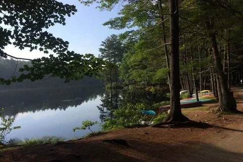 Acres Of Wildlife Camping