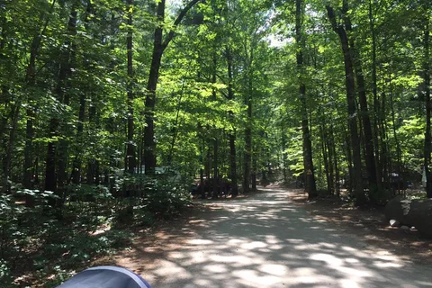 Acres Of Wildlife Camping