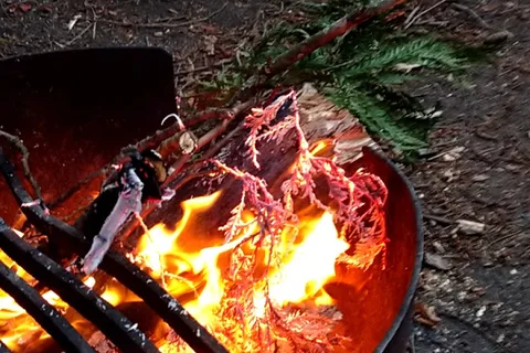 SMONECTEN (McDonald Park) Campground - Gulf Islands National Park Reserve