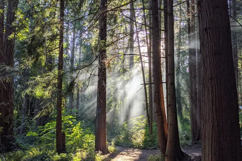 SMONECTEN (McDonald Park) Campground - Gulf Islands National Park Reserve