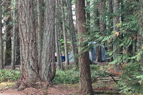 SMONECTEN (McDonald Park) Campground - Gulf Islands National Park Reserve