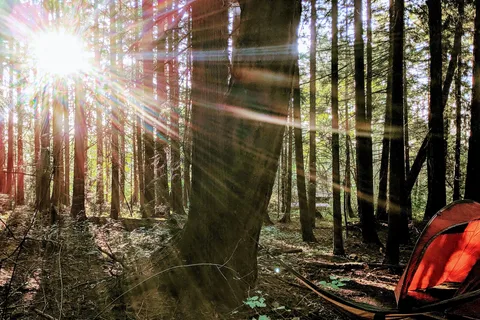 SMONECTEN (McDonald Park) Campground - Gulf Islands National Park Reserve