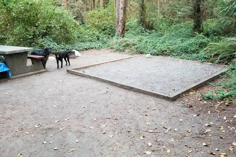 SMONECTEN (McDonald Park) Campground - Gulf Islands National Park Reserve