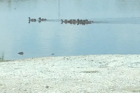 Big Lake RV Park
