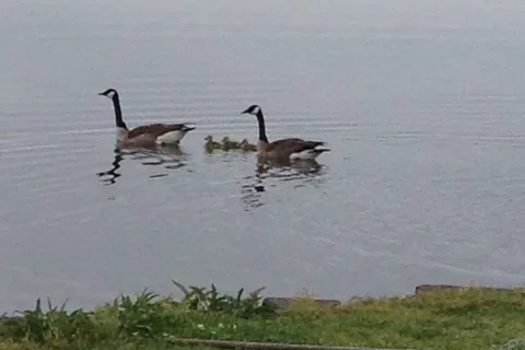 Big Lake RV Park