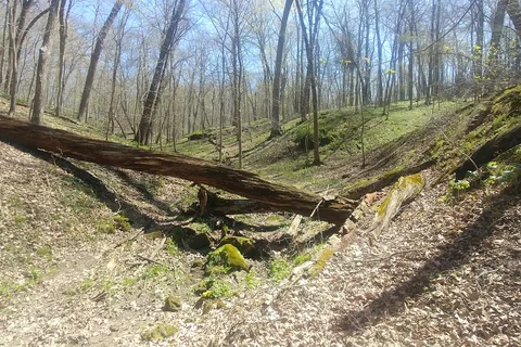Wapsipinicon State Park