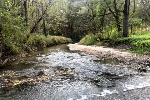 Wapsipinicon State Park