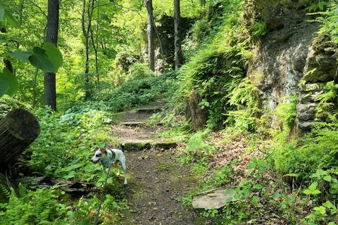 Wapsipinicon State Park