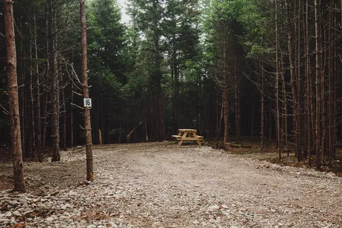 West River Camping