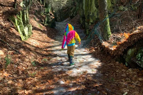 Fort Dummer State Park