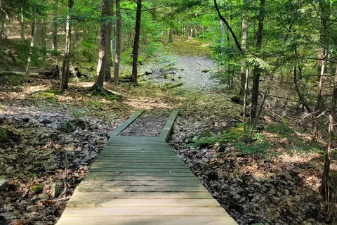 Fort Dummer State Park