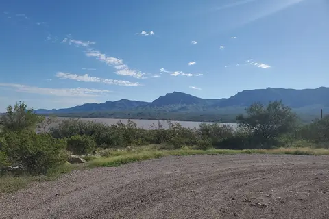 Palamino - Caballo Lake State Park