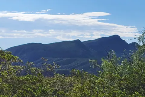 Palamino - Caballo Lake State Park