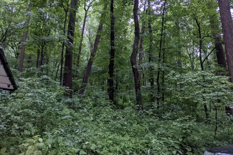 The Loose Caboose Campground