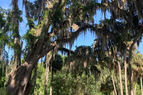 Sportman's Cove