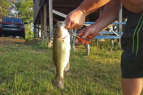 Sam Rayburn Marina Resort