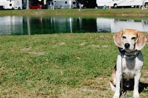 Gainesville RV Park