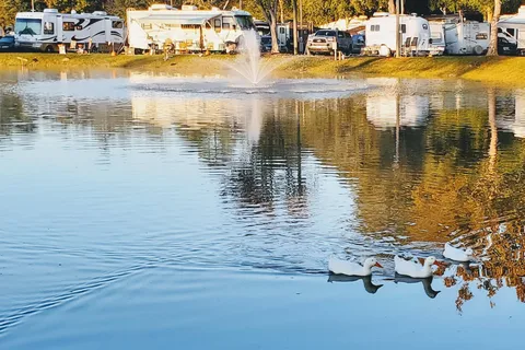 Gainesville RV Park