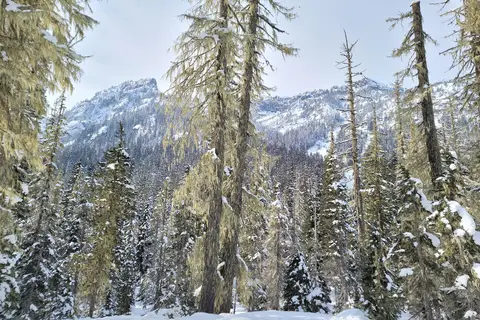 Salmon La Sac Sno-Park - Department of Natural Resources