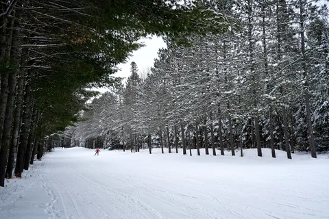 Parc provincial Arrowhead