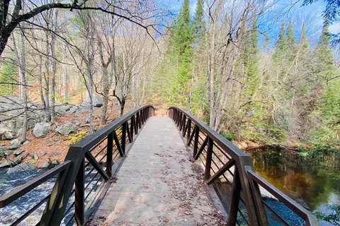 Parc provincial Arrowhead