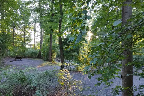 Starlite Camping Resort