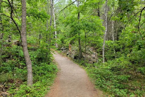 Chutes Provincial Park