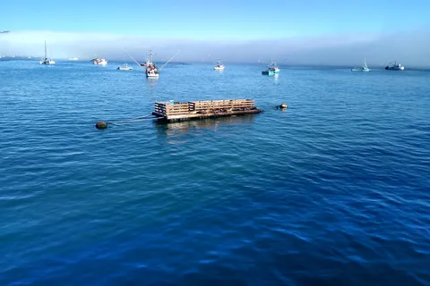 Port San Luis Harbor District