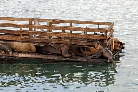 Port San Luis Harbor District