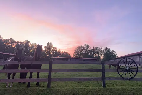 Big South Fork Lodge and Horse Campground