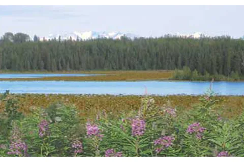 Kasilof RV Park