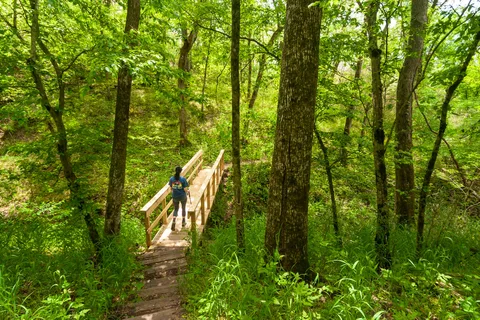 Tyler Bend Campground - Buffalo National River