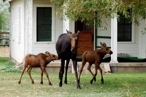 7N Ranch Resort