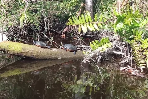Homosassa River RV Park