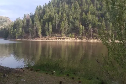 Shady Pines Resort