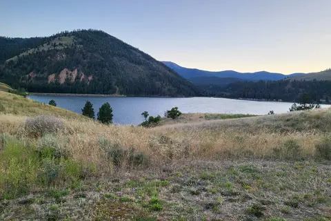 Shady Pines Resort
