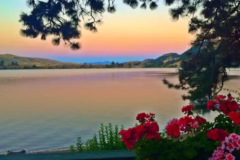 Shady Pines Resort