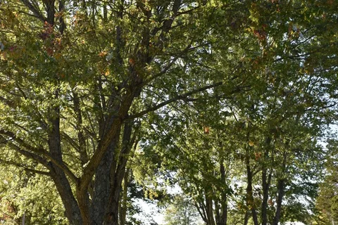 Three Springs RV Park and Campground