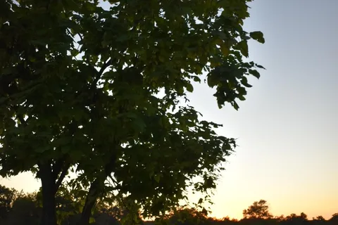 Three Springs RV Park and Campground