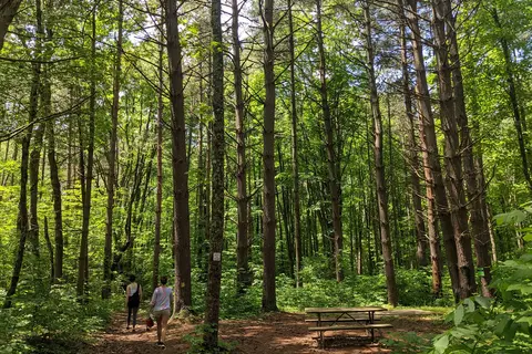 Main - Burr Oak State Park