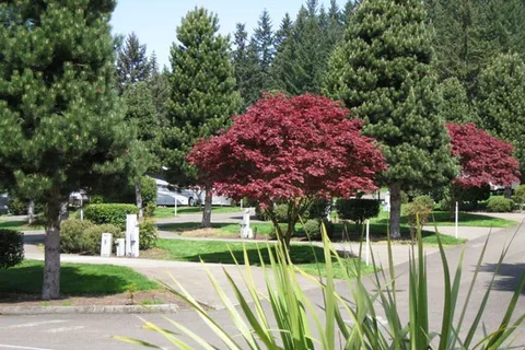 Sun Outdoors Portland South