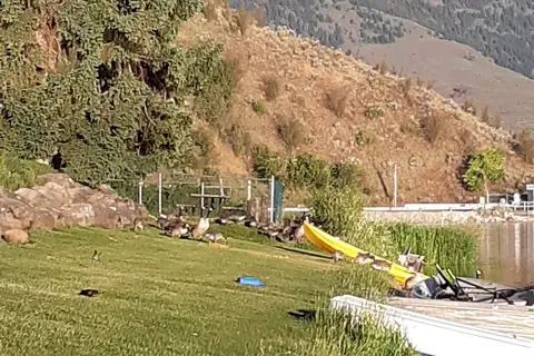 Spectacle Lake Resort