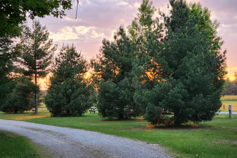 The Campground