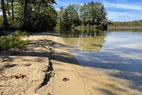 Camp Deer Trails