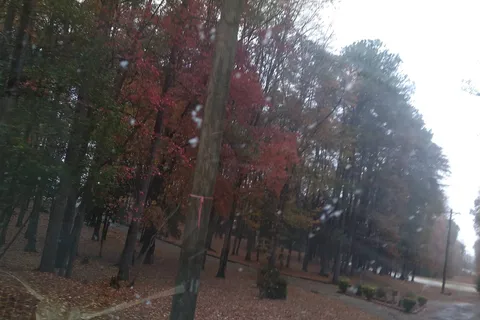 R and D Family Campground