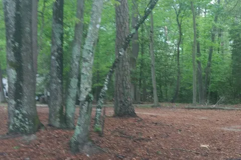 R and D Family Campground